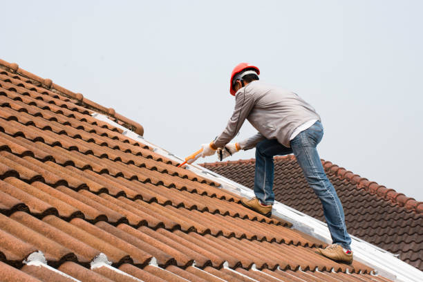 Steel Roofing in Aiken, SC